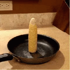 Corn becoming popcorn