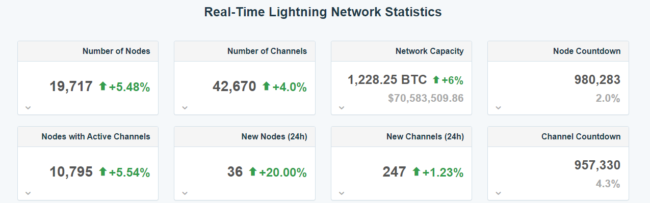 Real-Time Lightning Network Statistics